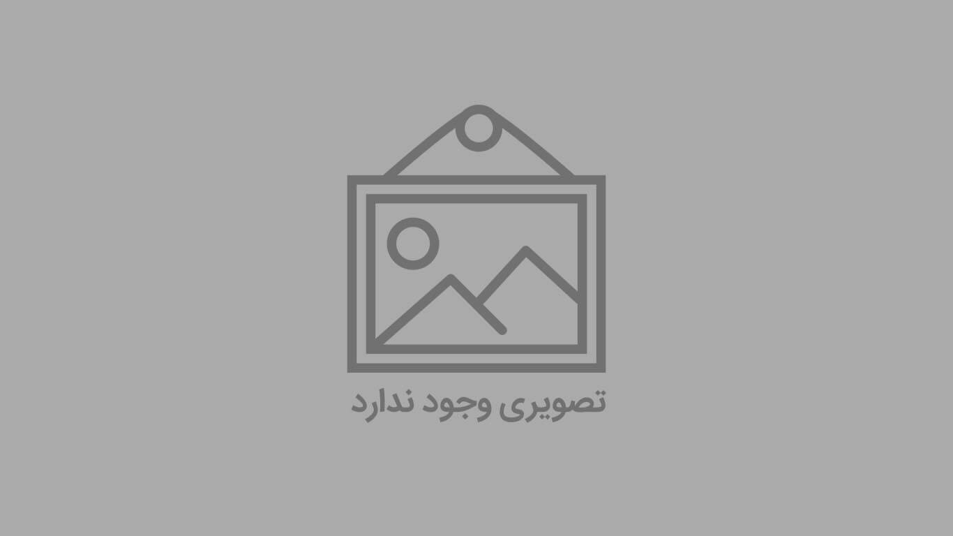 بیل مکانیکی دلتا راه ماشین مدل SC220-9